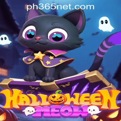 HalloweenMeow: Embrace the Spooky Season with an Enchanting Adventure